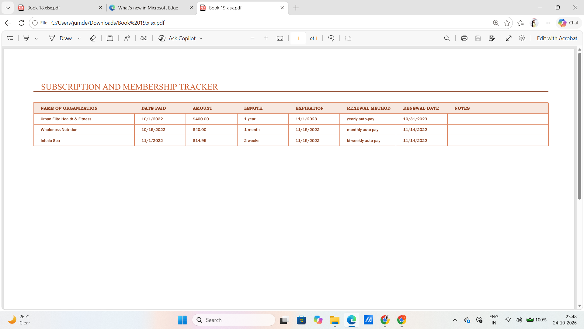 Client & Customer Tracker Excel Template